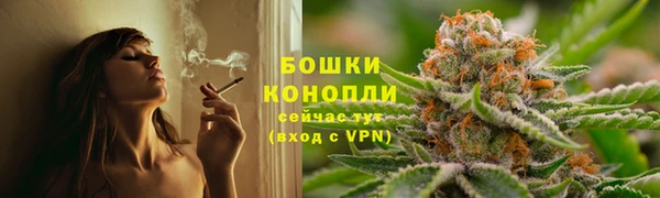 гидра Арсеньев