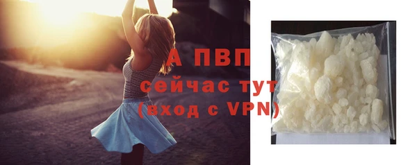 гидра Арсеньев