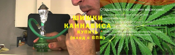 гидра Арсеньев